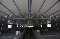 巨光乡“德康生猪”养殖场