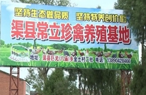 巨光乡常立珍禽养殖基地