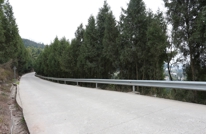 巨光乡境内巨（光）蔡（和）公路