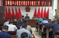 学百年党史 悟深刻真理 办为民实事 开岩峰新局