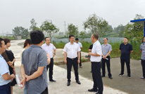 县委副书记王剑前往李渡调研竹林花海