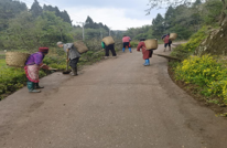 渠北镇：开展整治群众“最不满意的10件事”改善农村人居环境，建设美丽家园