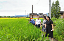 渠县天星街道扎实开展“我为群众办实事”活动