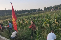 旱情就是命令  服务就是责任