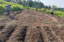 唤醒撂荒地 播种新希望