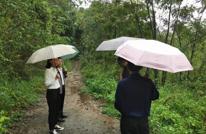 岩峰镇：地质灾害无小事  科学防治保平安