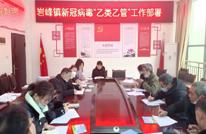 岩峰镇组织召开“乙类乙管”工作部署会