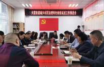 天星街道召开城乡社区治理特色创优试点工作推进会