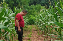 拱市乡农技员扎实开展玉米大豆田间管护