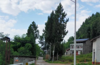 渠县拱市乡：“乡贤+”助力乡村振兴