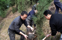 巨光乡动员全民参与植树造林活动