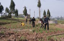 有庆镇着力发展现代设施农业