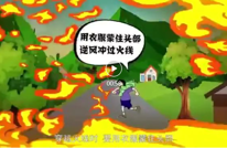 科普视频丨森林防火防范提示