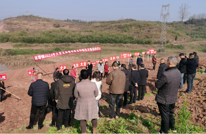 不负“粮”心 努力奋“豆”