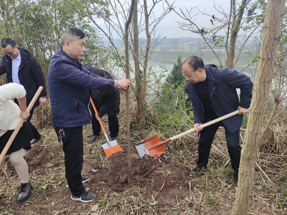 5024f54173bf73fd03dc2f193900b2b