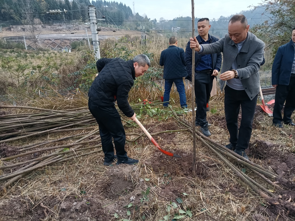 00e75e9d72661cd22f31f3708ae25c1