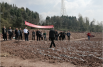 李渡镇“三注重三确保”强力推进大豆玉米带状复合种植