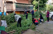 天星街道2024年整治“群众最不满意的10件事”活动