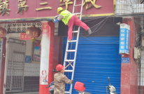 有庆镇扎实开展4月“群众最不满意10件事”工作