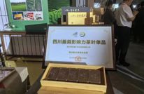 喜讯：渠县又一产品获得殊荣