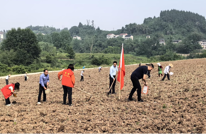 党建引领聚合力  绘就“最美春耕图”