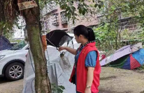 天星街道2024年整治“群众最不满意的10件事”活动