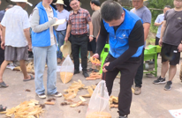 达州调查系统玉米实割实测现场会在渠召开