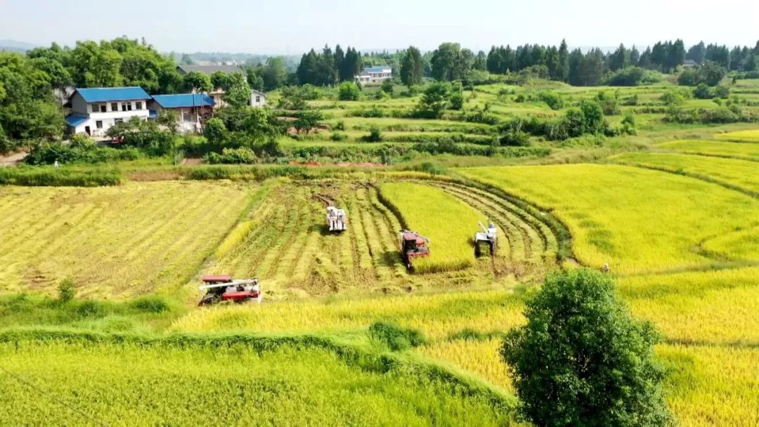 6cb4b5f0-0750-4a42-b27a-0ebc9675765f