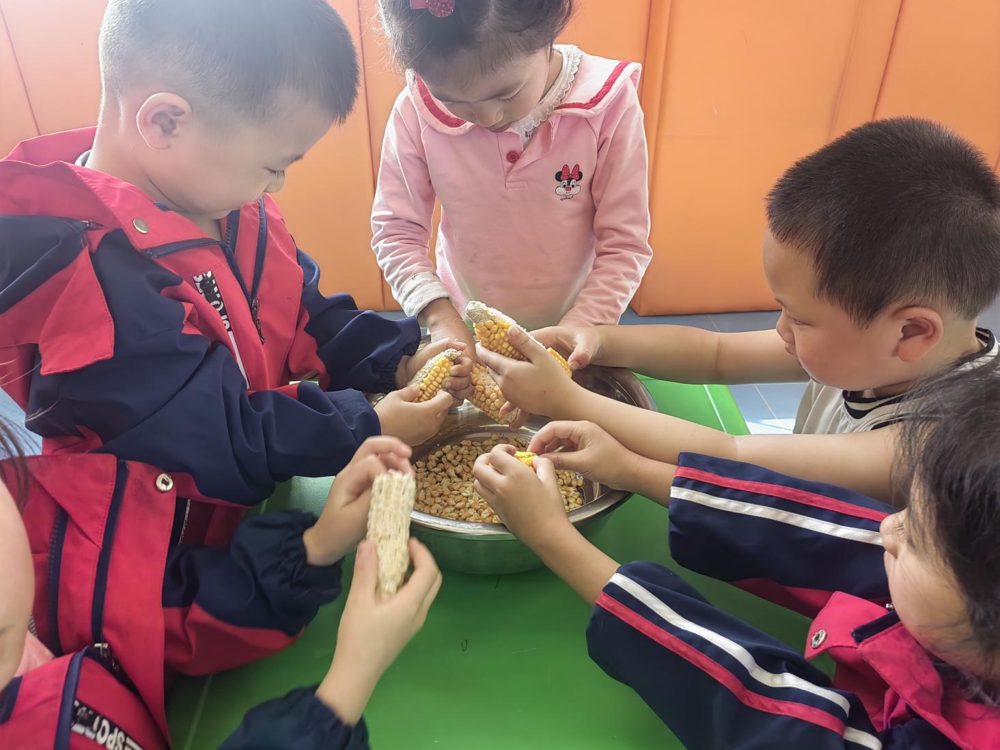 图片3