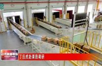 丁应虎赴渠县调研