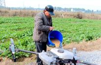 政策惠农设施完善 助力油菜规模化种植