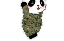 女兵报名通道已经开启，各位小姐姐→“请！”