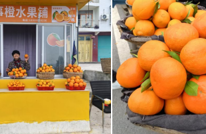 三板镇：党建引领  描绘助农增收新图景