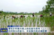 谭坝乡村振兴路上的实践与思考（二）田间地头的奋斗：农业振兴的点滴积累