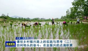 谭坝乡村振兴路上的实践与思考（二）田间地头的奋斗：农业振兴的点滴积累