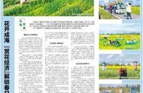 七日观察 | 达州各县（市、区）重点工作速览