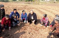 丰乐镇：助力春耕 农技服务到田间