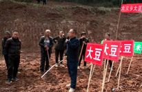 渠县：农技下乡助力  推进玉米大豆带状复合种植