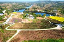 渠县：撂荒地种植芍药 拓宽村民就近增收路