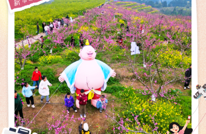 春满达州 向新而行 | 走进渠县