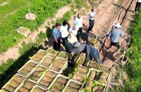 渠县宝塔村：机械化插秧省时省力又省心