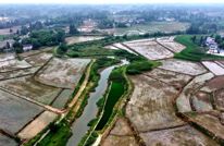 渠县：智能农机+精准调控 夏收夏种一气呵成
