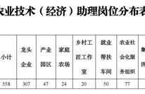 558名！达州面向社会公开招聘→