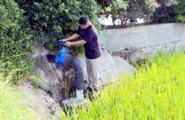 有庆镇水稻“解渴”忙  灌溉保丰收