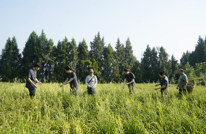 “ 法芽 ” 护 “ 金针 ” 司法赋能产业兴