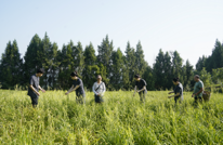 “法芽”护“金针” 司法赋能产业兴