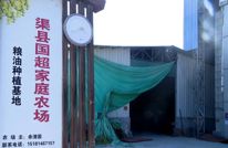 琅琊镇：加快烘干房建设助力农业增效农民增收