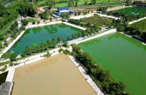 中滩天山村：“龟”划强村富民新画卷