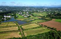 渠县：稻虾综合种养 一水两用  一田双收