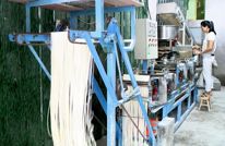 新象村“小麦变面条” 小作坊托起致富路